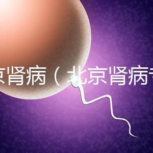 北京腎?。ū本┠I病專家排名）