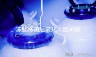凍胚移植后這幾天最關鍵！一文揭秘重要原因