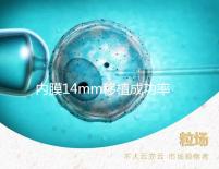 內膜14mm移植成功率不高？好不好著床看完心里有譜