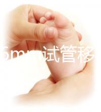 內膜16mm試管移植能否著床速覽，可否移植看身體情況