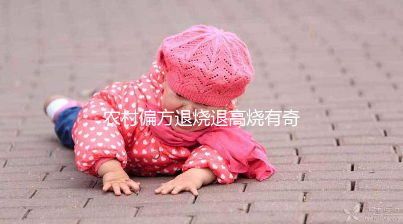 農村偏方退燒退高燒有奇效，路邊常見退燒草別還不認識