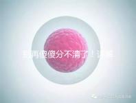 別再傻傻分不清了！詳解美國試管嬰兒和人工授精的區別