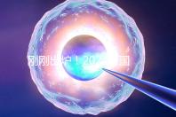 剛剛出爐！2024泰國試管嬰兒醫(yī)院最新排行榜