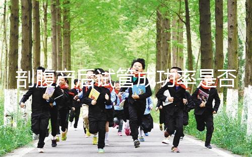 剖腹產(chǎn)后試管成功率是否很低？適當(dāng)?shù)恼{(diào)理影響真的很小