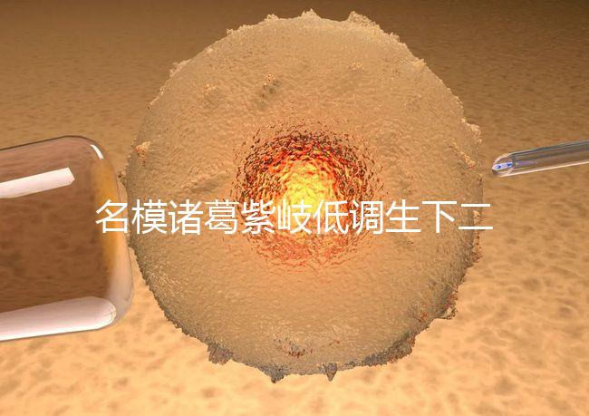 名模諸葛紫岐低調生下二胎,孕7個月肚子扁平成焦點