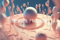 合肥借卵生子私立醫院匯總，2024哪家排名好一覽了然