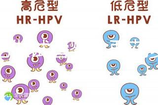 合肥做試管嬰兒要花多少錢？進周期前這些注意事項都來看看