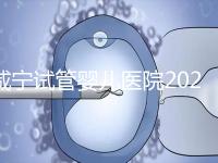 咸寧試管嬰兒醫院2024年成功率排名公開，哪家好一目了然