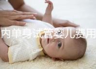 國(guó)內(nèi)單身試管嬰兒費(fèi)用大概要多少錢(qián)一次？附費(fèi)用明細(xì)！