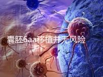 囊胚6aa移植并無風險,術(shù)長僅15分鐘,別讓心情影響成功率