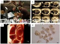 在泰國杰特寧醫院做試管嬰兒的費用明細和醫院排名清單，輕松規劃你的試管旅程！