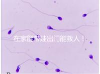 在家能帶娃出門能救人！張云鵬醫(yī)生為救人將孩子塞路人