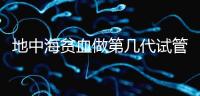地中海貧血做第幾代試管嬰兒？要看看地貧的表現型