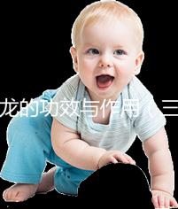 地龍的功效與作用（三種人不宜吃地龍）