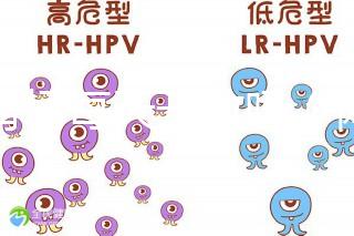 體育場(chǎng)每天開放嗎(體育場(chǎng)每天開放嗎現(xiàn)在)