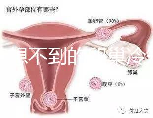你意想不到的卵巢冷知識6