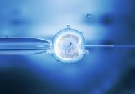 供卵試管嬰兒選擇好醫(yī)院是關(guān)鍵，泰國好的生殖中心有這些