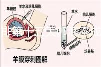促排第十五天卵泡不成熟還可以治療！1.2等幾天就能長大