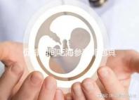 促排期間吃海參對卵泡真管用，不想取卵空泡找上門快做攻略