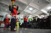 云南試管嬰兒做一次要多少錢？2024年助孕價格清單