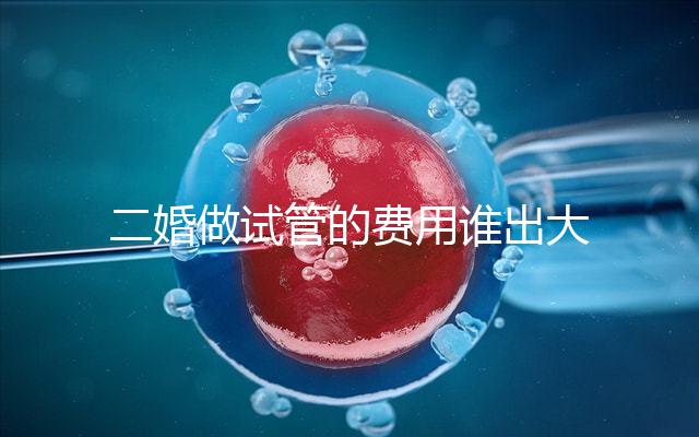 二婚做試管的費用誰出大揭秘！總共要花多少錢清清楚楚！