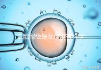 二胎留級是女孩沒有科學依據，出生早晚和性別無關