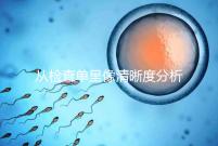 從檢查單呈像清晰度分析，二維彩超和nt赤裸裸的區(qū)別