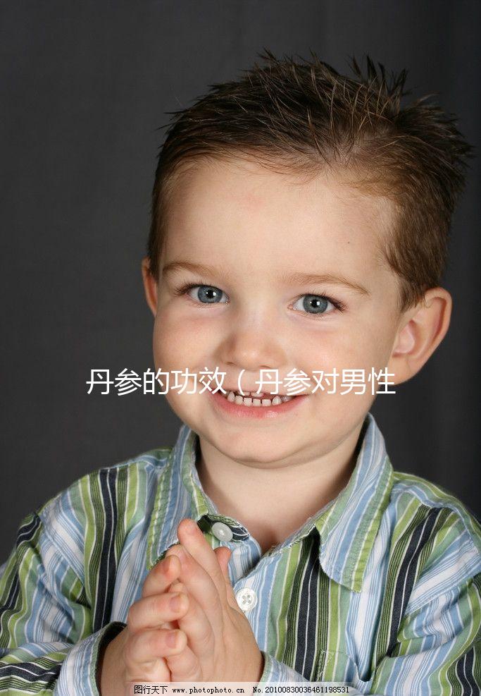 丹參的功效(丹參對(duì)男性性功能影響)