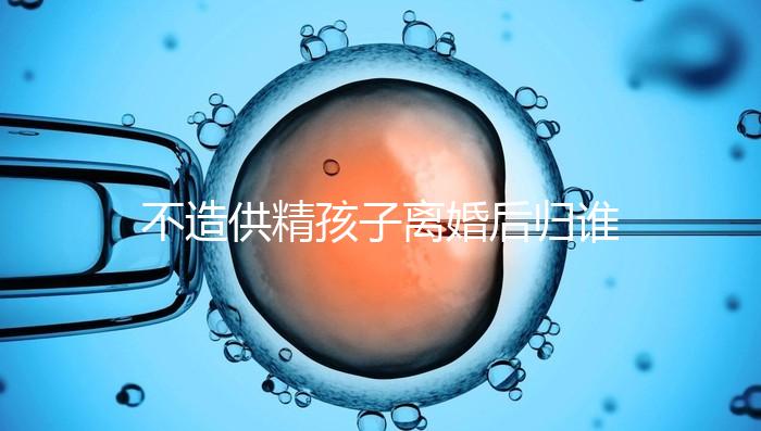 不造供精孩子離婚后歸誰,撫養權爭奪戰法院一般這么判