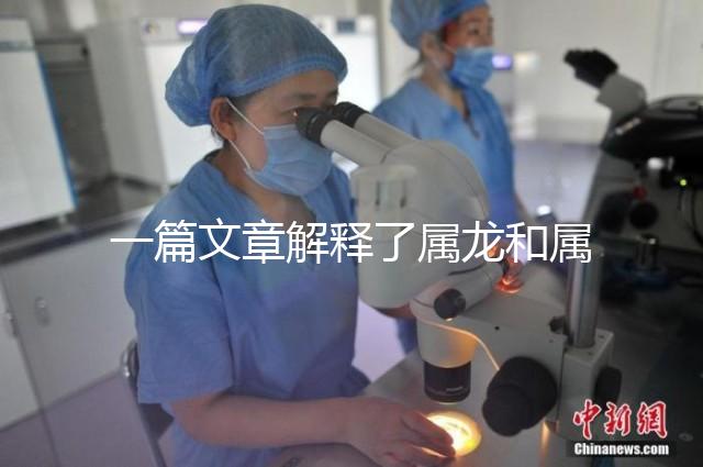 一篇文章解釋了屬龍和屬兔的人能否在一起，他們將如何全部包括在內