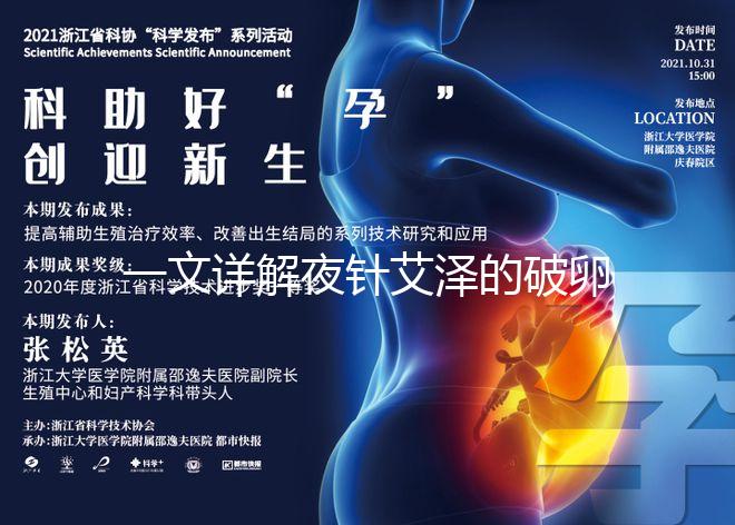 一文詳解夜針艾澤的破卵成功率，60s弄清跟絨促誰更高