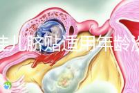 丁桂兒臍貼適用年齡沒明確規定，但初次使用必須滿月