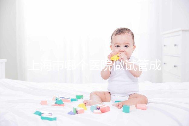 上海市哪個醫院做試管成功率高最好的？