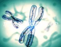 東莞做第三代試管嬰兒的醫(yī)院排名已經(jīng)公布來看看哪個離你近！