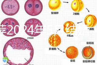 推薦2024年5月結婚的良辰吉日,最吉利的要數(shù)…