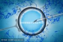 怎樣做有助于女性正常受孕