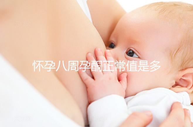 懷孕八周孕酮正常值是多少