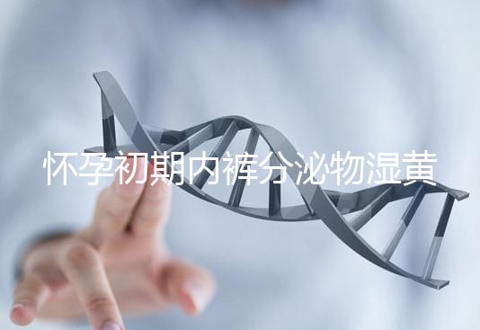 懷孕初期內(nèi)褲分泌物濕黃是男孩!5大原因?yàn)槟憬议_背后真相