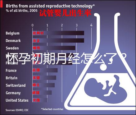 懷孕初期月經怎么了?
