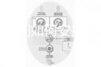 懷孕期間如何安排飲食比較好