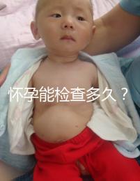 懷孕能檢查多久？