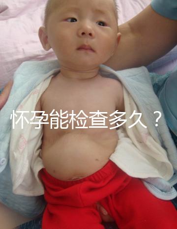 懷孕能檢查多久？