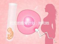 拉拉的婚育計劃：她和她相戀十幾年，終于在塞班結婚了！
