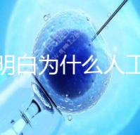 我不明白為什么人工授精收藏這么貴答案是多少？