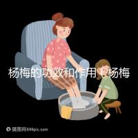 楊梅的功效和作用（楊梅的功效和作用禁忌 營(yíng)養(yǎng)價(jià)值）