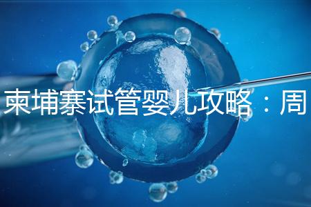 柬埔寨試管嬰兒攻略:周期和時間規劃全解析!