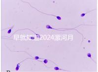 早就知道2024漯河月子中心的價格表了！媽咪悅只需要這個數字