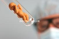 昆明現在做試管嬰兒大概需要多少錢