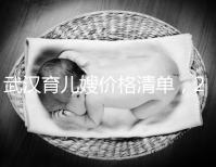 武漢育兒嫂價(jià)格清單，2024年橋口等正規(guī)機(jī)構(gòu)不要錯(cuò)過(guò)