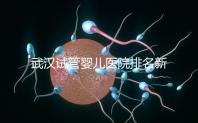 武漢試管嬰兒醫院排名新出爐，來看看2024哪些私立機構上榜